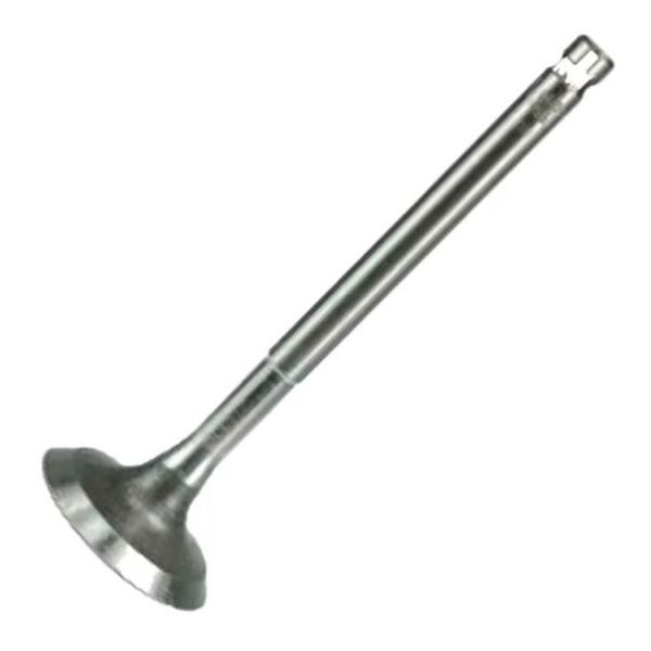 Válvula De Admissão Marelli Honda Biz 125 06/18 (MP)